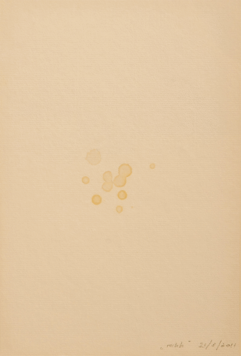 milk_01 milk_01.png
